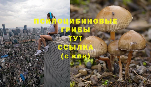 соль курить ск Алзамай