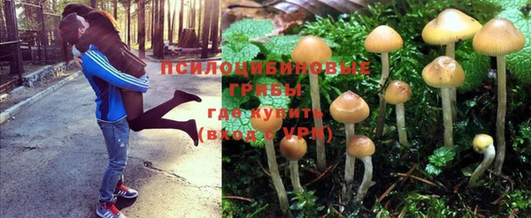 МДПВ Алексеевка