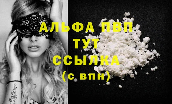 СК Алексин