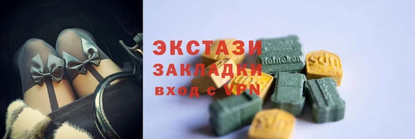СК Алексин