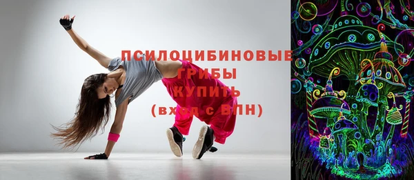 СК Алексин